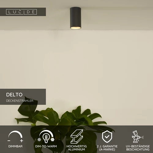 Lucide DELTO - Deckenstrahler - Ø 5,5 cm - LED Dim to warm - GU10 - 1x5W 2200K/3000K - Grau - USP